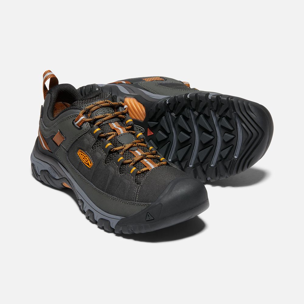 Keen Wandelschoenen Heren Zwart/Goud - Targhee Exp Waterproof - 32504-JNDO